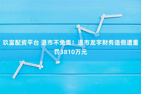 玖富配资平台 退市不免责！退市龙宇财务造假遭重罚3810万元
