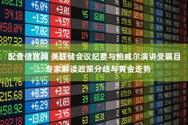 配查信官网 美联储会议纪要与鲍威尔演讲受瞩目：专家解读政策分歧与黄金走势